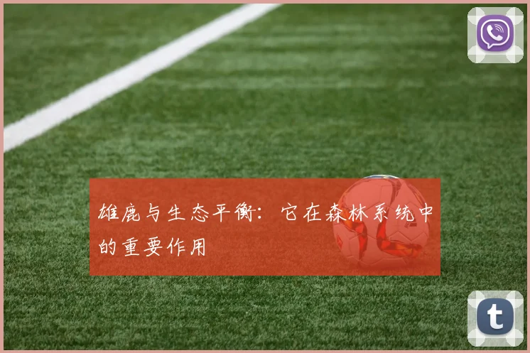 雄鹿与生态平衡:它在森林系统中的重要作用